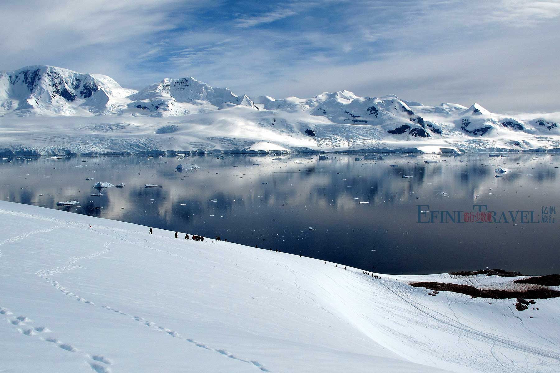 antarctica cruises